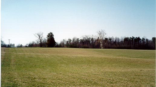 Top of Laurel Hill from about halfway across the field.  There is a ravine hidden from view before the last rise