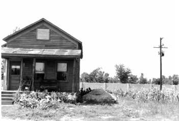 A black home and garden plot in the Eight Mile-Wyoming area on Detroit's nortwest side, 1942.
