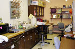 Professor Hirsch's lab