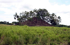 the largest mound at Las Viudas