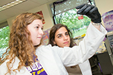 science students at UAlbany