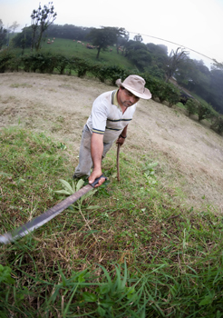 A farmer machetes his field