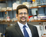 Dr. Bijan K. Dey, faculty researcher at The RNA Institute.