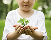 Child holds plant and soil in hands.