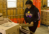 More than 200 University at Albany students volunteered at the Regional Food Bank of Northeastern New York on Saturday, Sept. 13, as part of an on-going effort to display the University’s commitment to the local community.