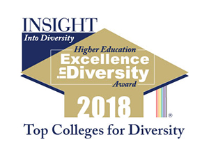 2018 Higher Education Excellence in Diversity (HEED) Award badge.
