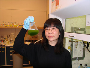 Yanna Liang works in SIUC lab.