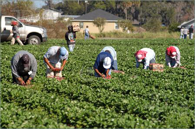 Current Health Status of Migrant Farm Workers