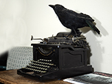 Raven and typewriter  