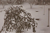 UAlbany October 4 1987 snowstorm