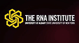 New visual image of The RNA Institute at UAlbany