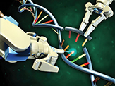 CRISPR/Cas Systems genome editing