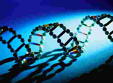 RNA Science Advances at UAlbany Symposium Jan. 23 