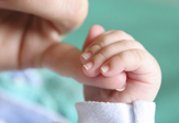 Baby and mother's hand UAlbany IVF study