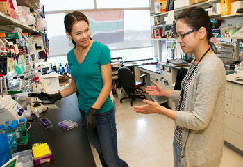 UAlbany Cancer Research