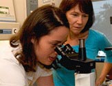 UAlbany summer intern Teresa Lloyd-Coronado looks through a microscope as Professor JoEllen Welsh looks on