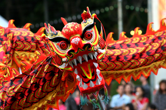 Chinese New Year Dragon Dance Celebration in Hong Kong