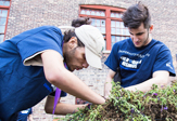 LLC Students volunteer in Albany building an urban garden