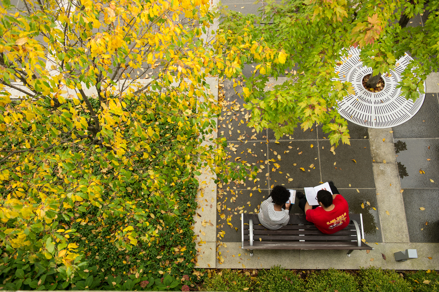 Aerial view of two students studying on the academic podium