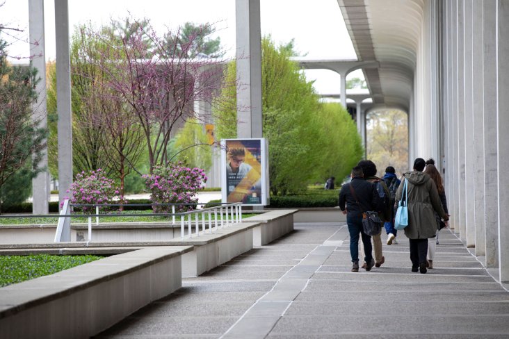 Four students walk down a pathway on UAlbany's Academic Podium during spring.