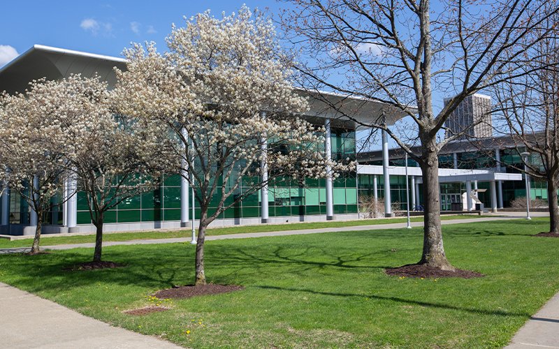 Exterior of the Life Sciences Research Building, covered in green-toned glass panels and surrounded by budding trees and green grass.
