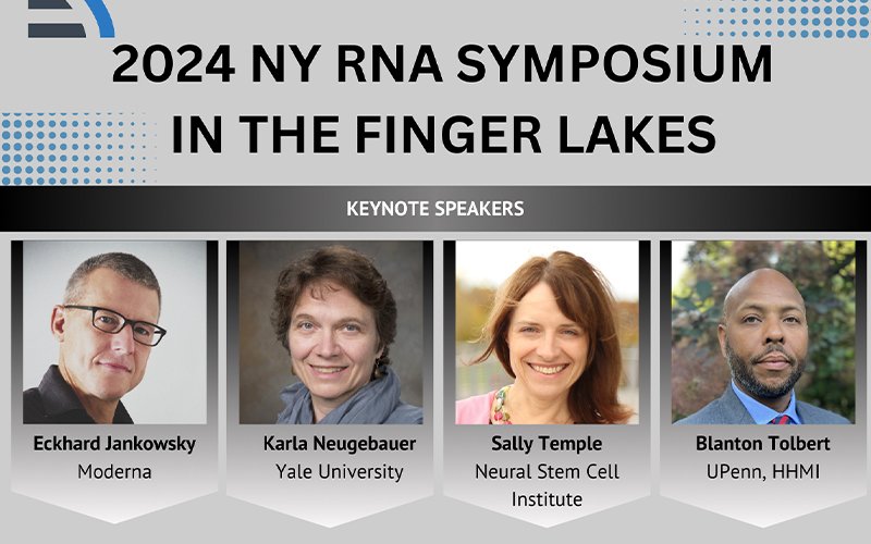 A poster for the 2024 NY RNA Symposium, featuring the names, images and information of the keynote speaker and text reading 2024 RNA Symposium in the Finger Lakes