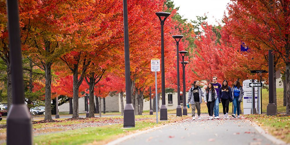 A group of students walking on the purple path together in the fall. 