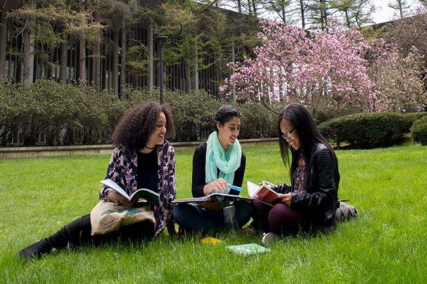 Three students study on the lawn of UAlbany's uptown campus.