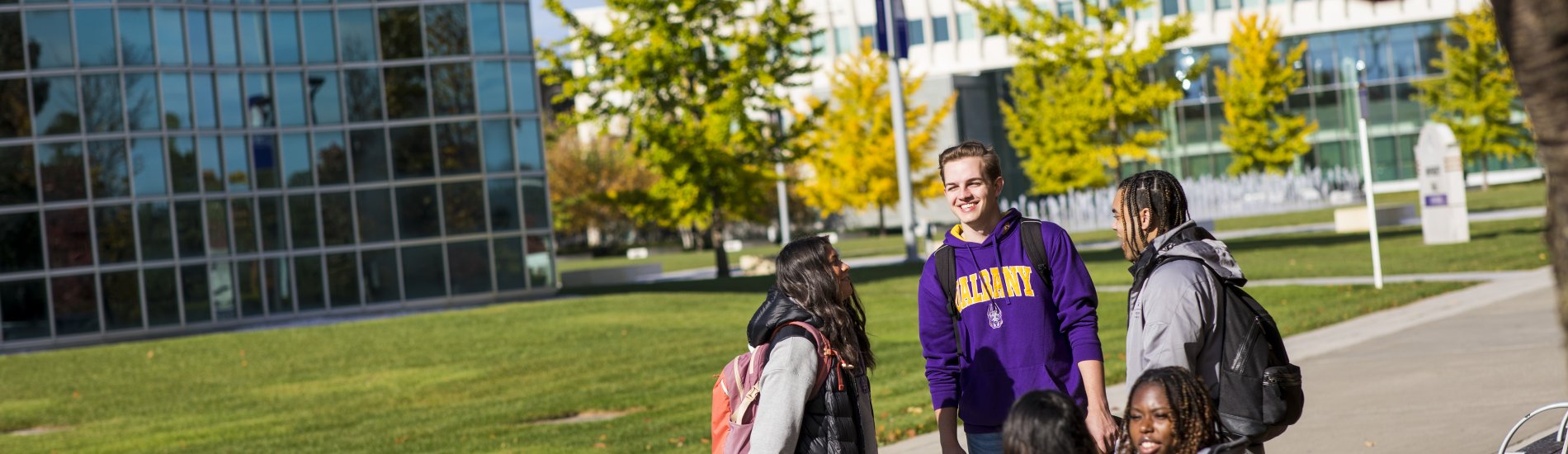 Three standing UAlbany students and two seated outdoors on campus with fall foliage on nearby trees