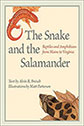 The Snake and the Salamander book cover