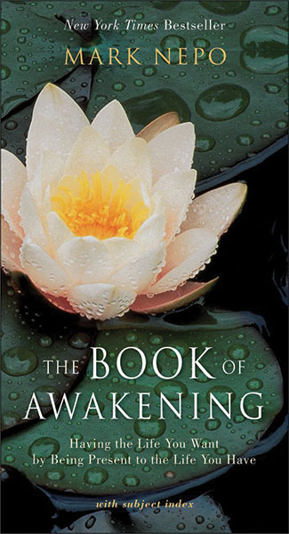 Book cover for The Book of Awakening