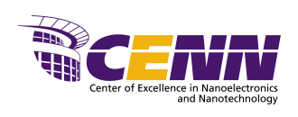Center of Excellence in Nanoelectronics and Nanotechnology
