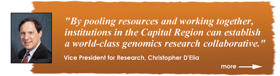 Vice President for Research Christopher D'Elia