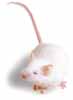 lab mouse