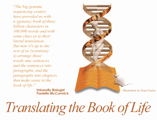 Translating the Book of Life