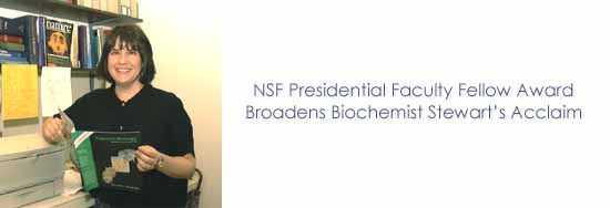 NSF Presidential Faculty Fellow Award Broadens Biochemist Stewart�s Acclaim
