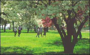 Students Crossing Field