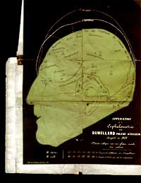 Searching the Criminal Body