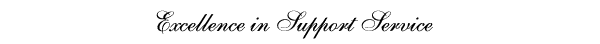 Excellence in Support Services