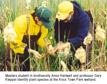 Masters student in biodiversity Anna Hartwell and professor Gary Kleppel identify plant species at the Knox Town Park wetland