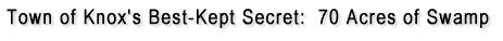 Town of Knox's best-kept secret: 70 acres of swamp