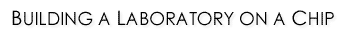 Building a Laboratory on a Chip