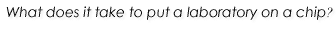 What does it take to put a laboratory on a chip?