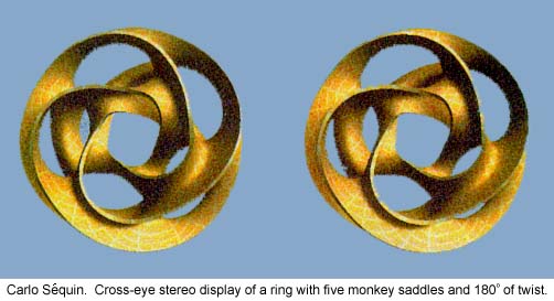 [Image] Carlo Sequin, Cross-eye stereo display