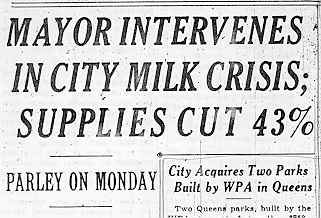 NEW YORK TIMES headlines