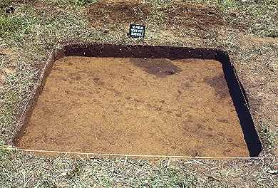 A close-up photo of an Occaneechi excavation.