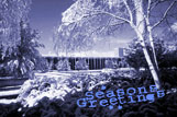 Seasons Greeting