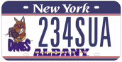 UAlbany License Plate