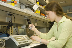 UAlbany-SUNY Goldwater Scholar Julita Patrosz in the lab.