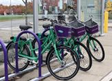 Three green and purple bikshare bicycles are parked near a glassed-in bus stop on campus